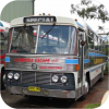 Illawarra Escape Tours